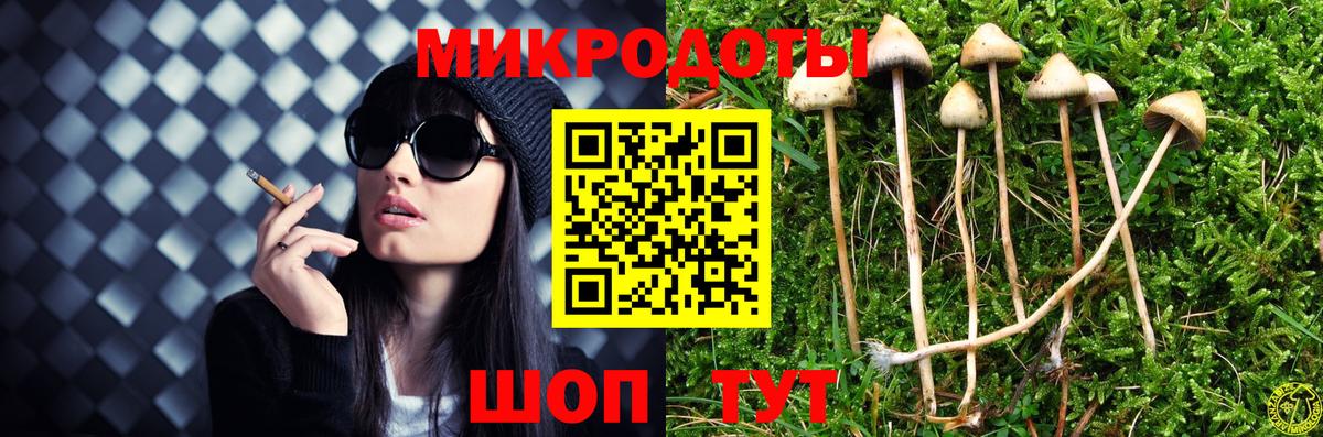 цены наркотик  Вход с VPN  Новоалтайск  Псилоцибиновые грибы прущие грибы 