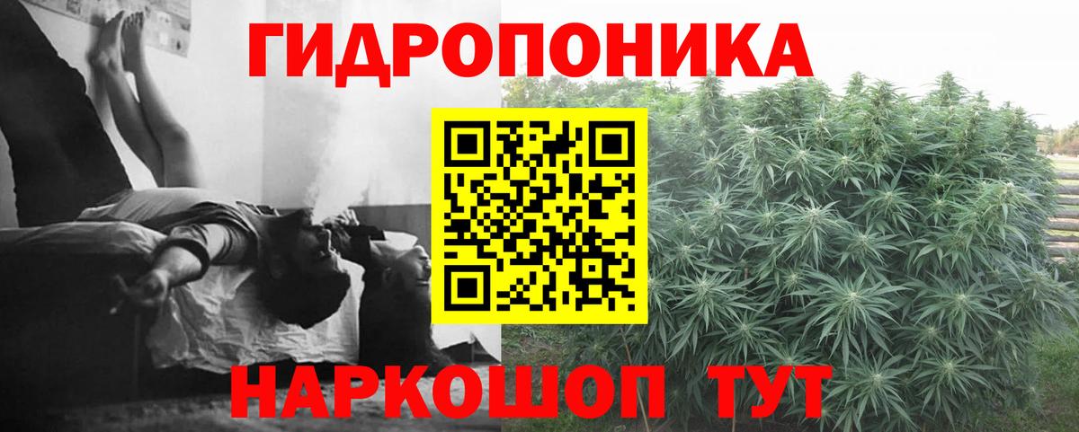 Бошки марихуана ГИДРОПОН Новоалтайск